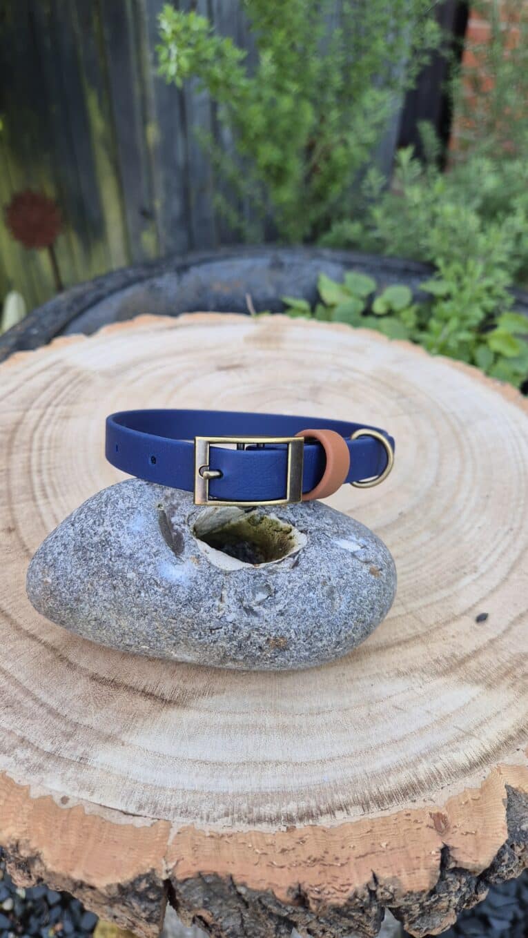 A Harbourwood Single Colour Collar in blue and tan with a brass buckle rests on a smooth grey stone with a hole, atop a tree stump surrounded by lush green plants outdoors.