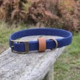 The Harbourwood Single Colour Collar in blue, featuring a brass buckle, ring, and tan leather loop, is displayed on weathered wood outdoors among ferns—an elegant choice for your dog.