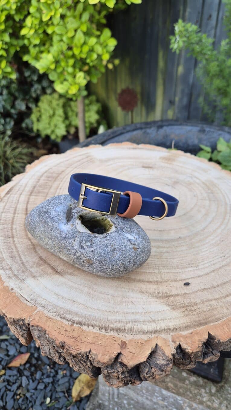 A Harbourwood Single Colour Collar in blue with a gold buckle and brown loop is displayed on a grey stone atop a cut tree stump, with green foliage and a wooden fence in the background.