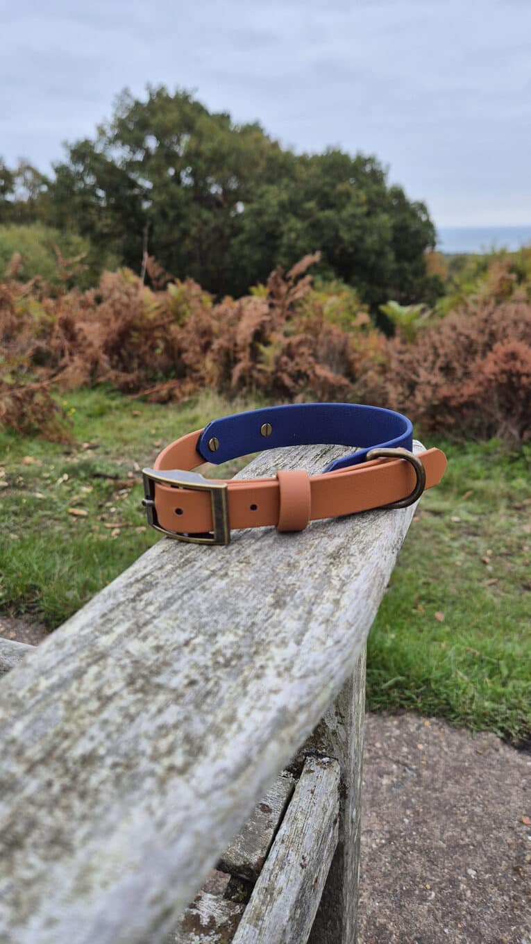 A brown leather belt and a blue belt with metal rivets rest on a weathered wooden bench outdoors, with green grass, brown ferns, and trees in the background under a cloudy sky.