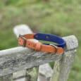 A two-tone dog collar with orange and blue leather rests on the weathered arm of a wooden bench, with green grass blurred in the background.