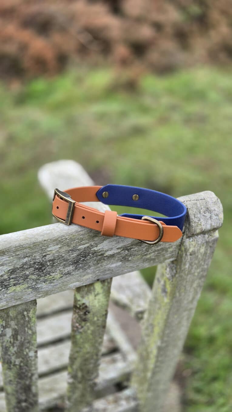 A two-tone dog collar with orange and blue leather rests on the weathered arm of a wooden bench, with green grass blurred in the background.