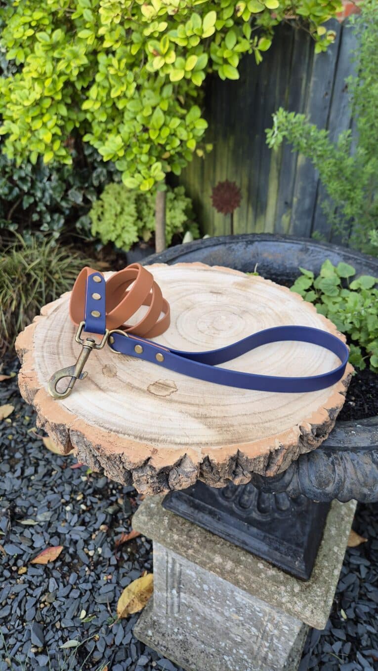 A brown and navy blue dog lead with metal fittings is coiled on top of a large, smooth tree stump in a garden with green shrubs and a black stone planter.