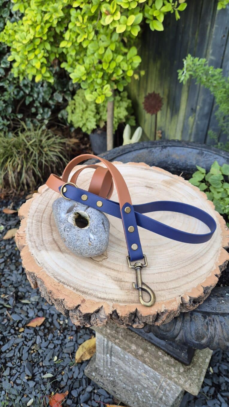 A brown and navy blue dog lead with brass fittings rests on a round-cut tree stump, with a stone and garden plants in the background.