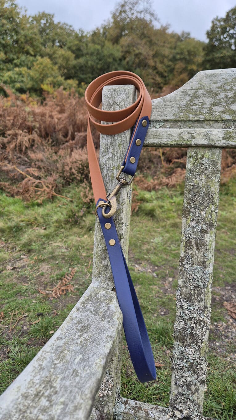 A brown and navy blue leather dog lead is draped over the back of a weathered wooden bench outdoors, with grass, ferns, and trees visible in the background.