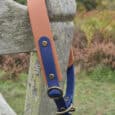 A tan and blue leather dog collar with brass fittings hangs over the top of a weathered wooden fence outdoors, with autumnal trees and foliage in the background.