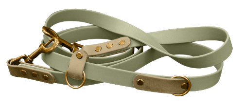 Sage green BioThane dog lead with brass fittings and adjustable handle for personalised walks.