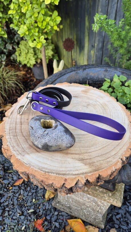 Midnight Amethyst 1.2m Two Colour Lead