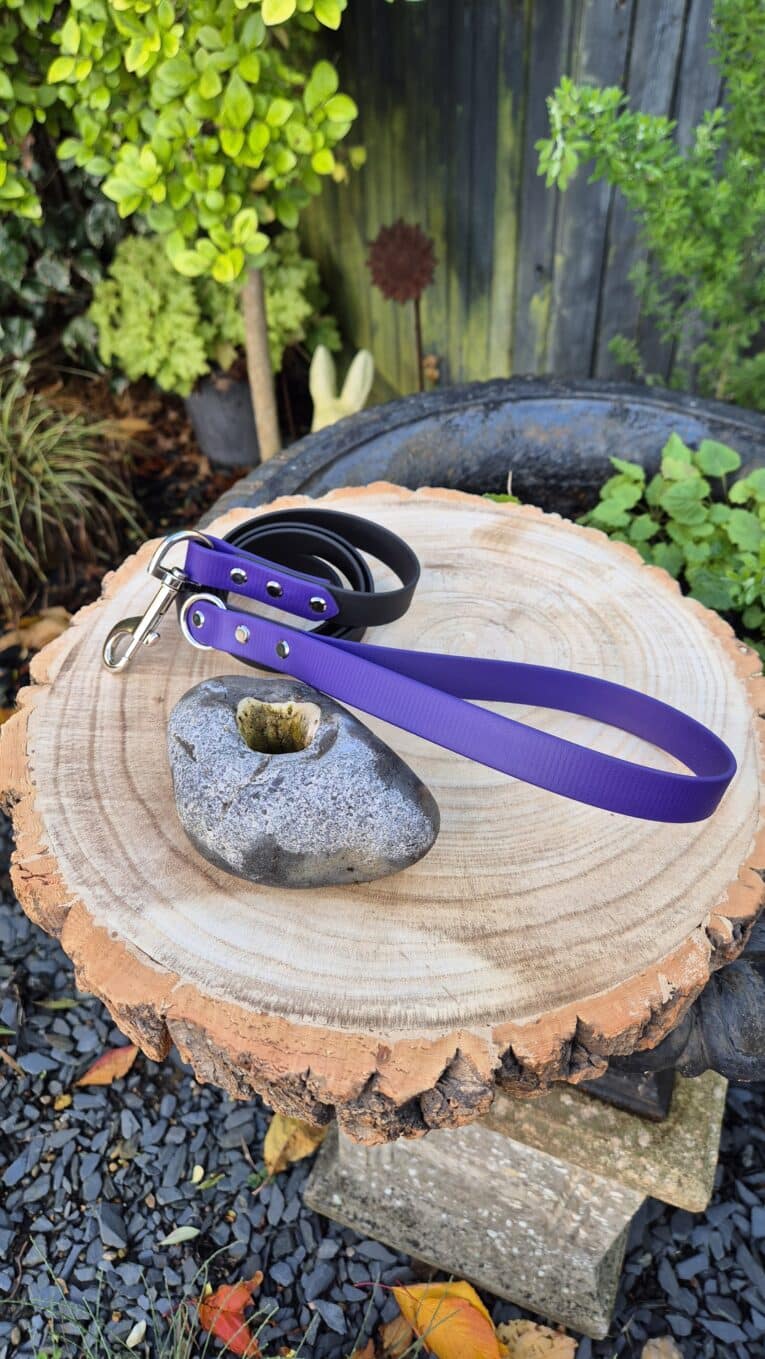 The Midnight Amethyst Two Colour Lead with a metal clip rests coiled on a tree stump beside a holed grey rock, outdoors among green plants and a wooden fence.