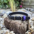 A black leather dog collar with a purple tag rests on a tree stump surrounded by rocks and plants in an outdoor garden setting.
