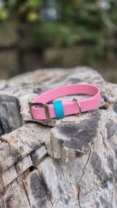 Pink Clover Collar