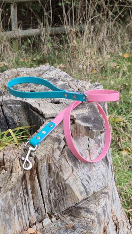 A blue and pink dog lead with a metal clasp is draped over a weathered tree stump outdoors, surrounded by grass and dried plants.