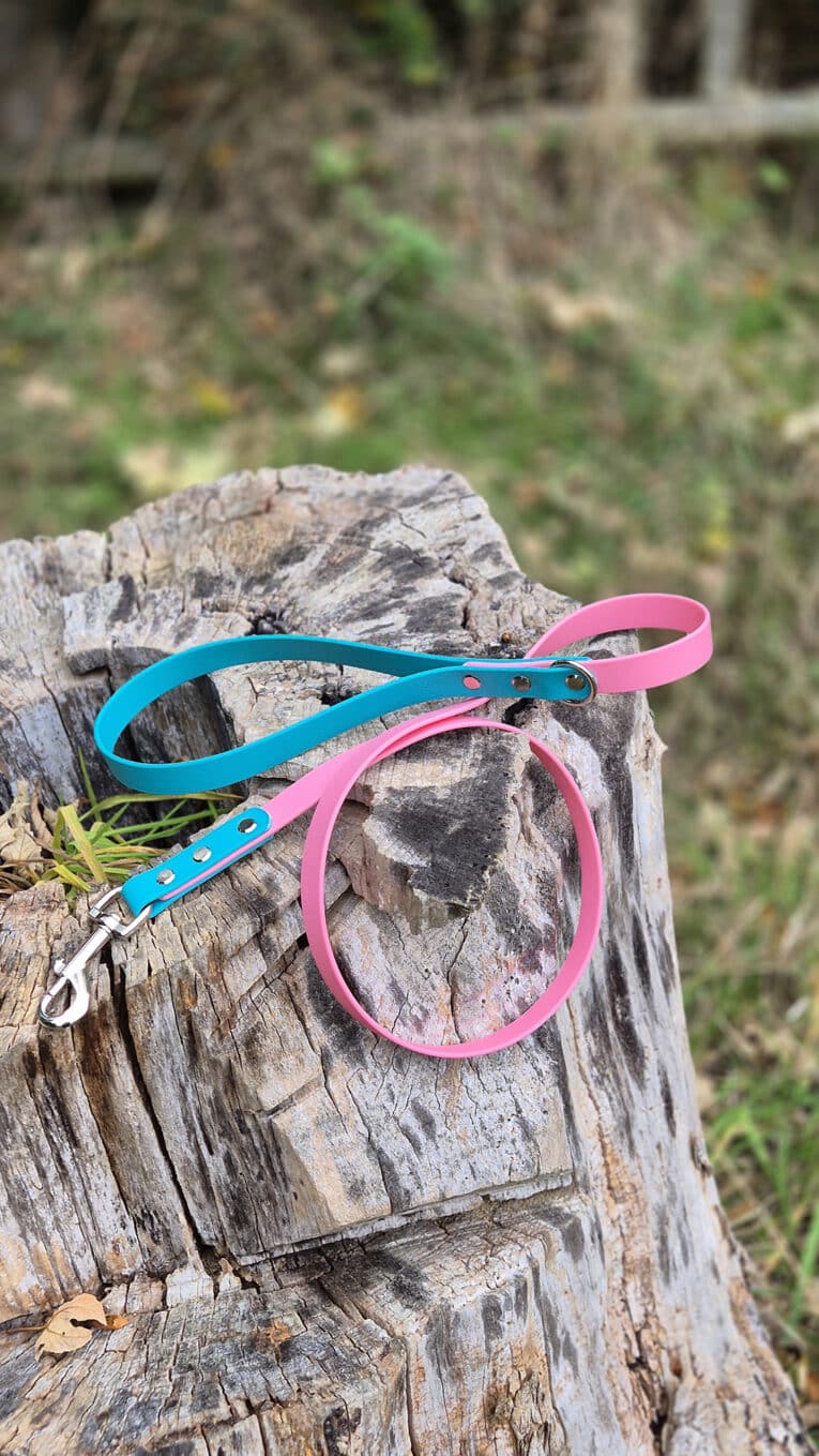 A blue lead and a pink collar rest on a weathered tree stump outdoors, with green grass and blurred foliage in the background.