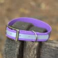 A purple and lavender striped dog collar with a silver buckle and D-ring is draped over the armrest of a weathered wooden bench outdoors.