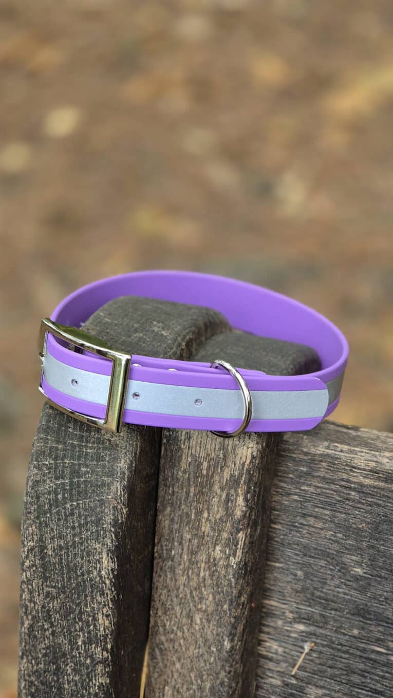 A purple and lavender striped dog collar with a silver buckle and D-ring is draped over the armrest of a weathered wooden bench outdoors.