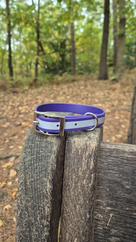 A purple and light blue dog collar with a silver buckle and ring rests on the edge of a weathered wooden bench in a forested area with trees and leafy ground in the background.