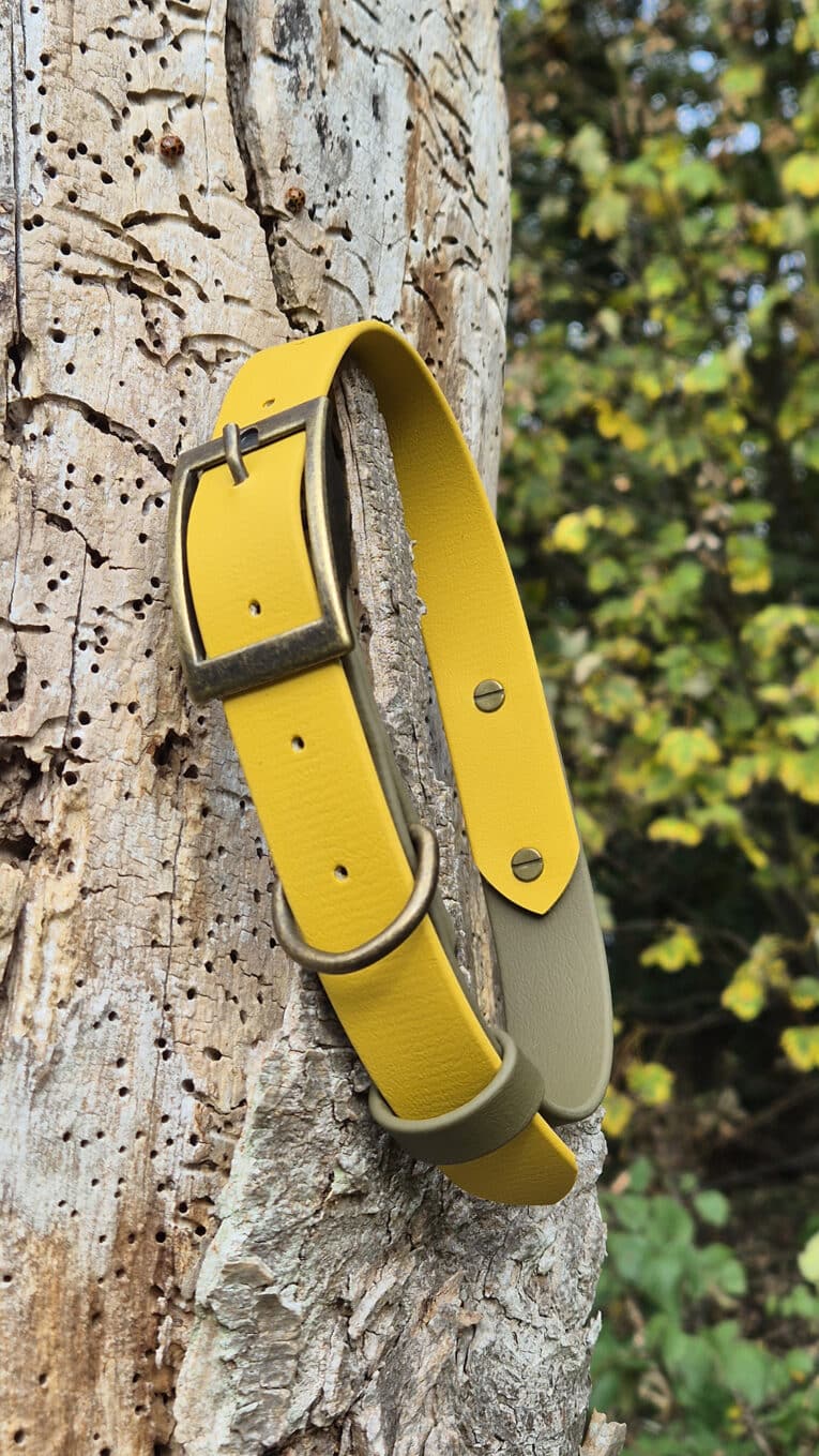 A yellow and olive green dog collar with brass fittings is wrapped around the trunk of a weathered, holey tree. Green foliage with yellow flowers appears in the blurred background.