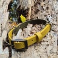 A yellow belt with a dark metal buckle is placed on a textured, weathered tree trunk with holes, surrounded by dried wood and a few green leaves.