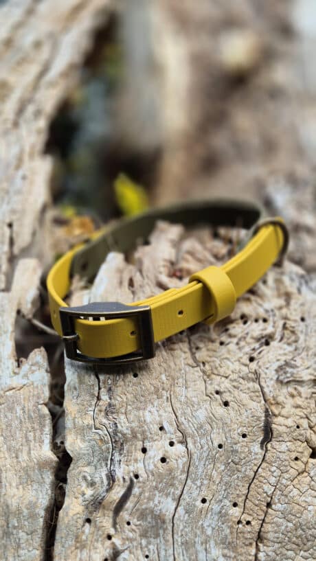 A yellow belt with a dark metal buckle is laid out on a weathered, hole-filled piece of wood outdoors.