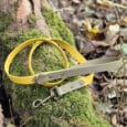 A yellow and olive-green dog lead with metal fittings lies coiled on a moss-covered tree root, surrounded by fallen leaves and forest floor debris.