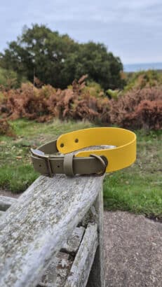 Saffron Grove Tapered Collar