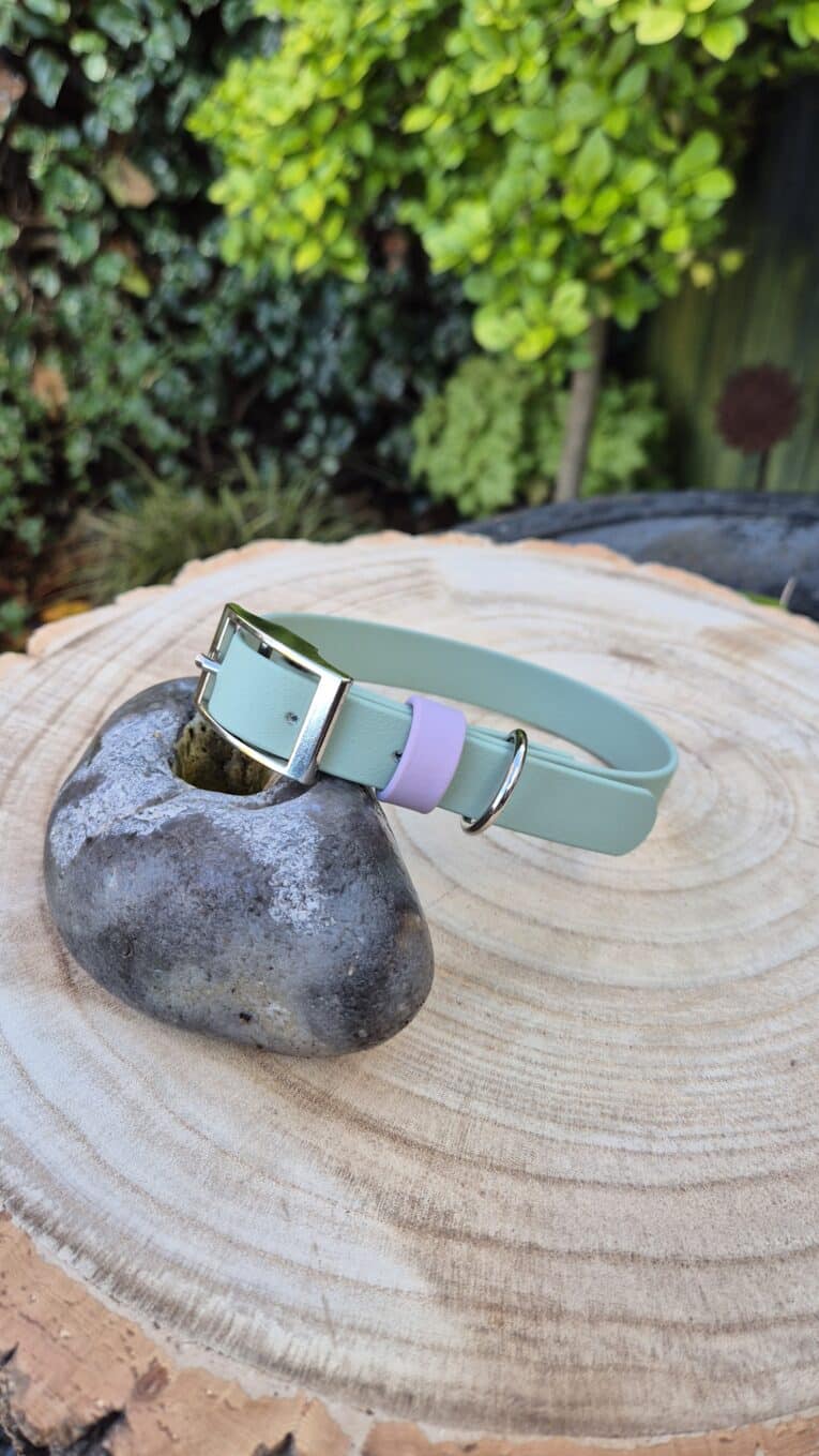 A light green pet collar with a silver buckle and a lavender loop rests on a grey stone atop a wooden tree stump, with green plants in the blurred background.