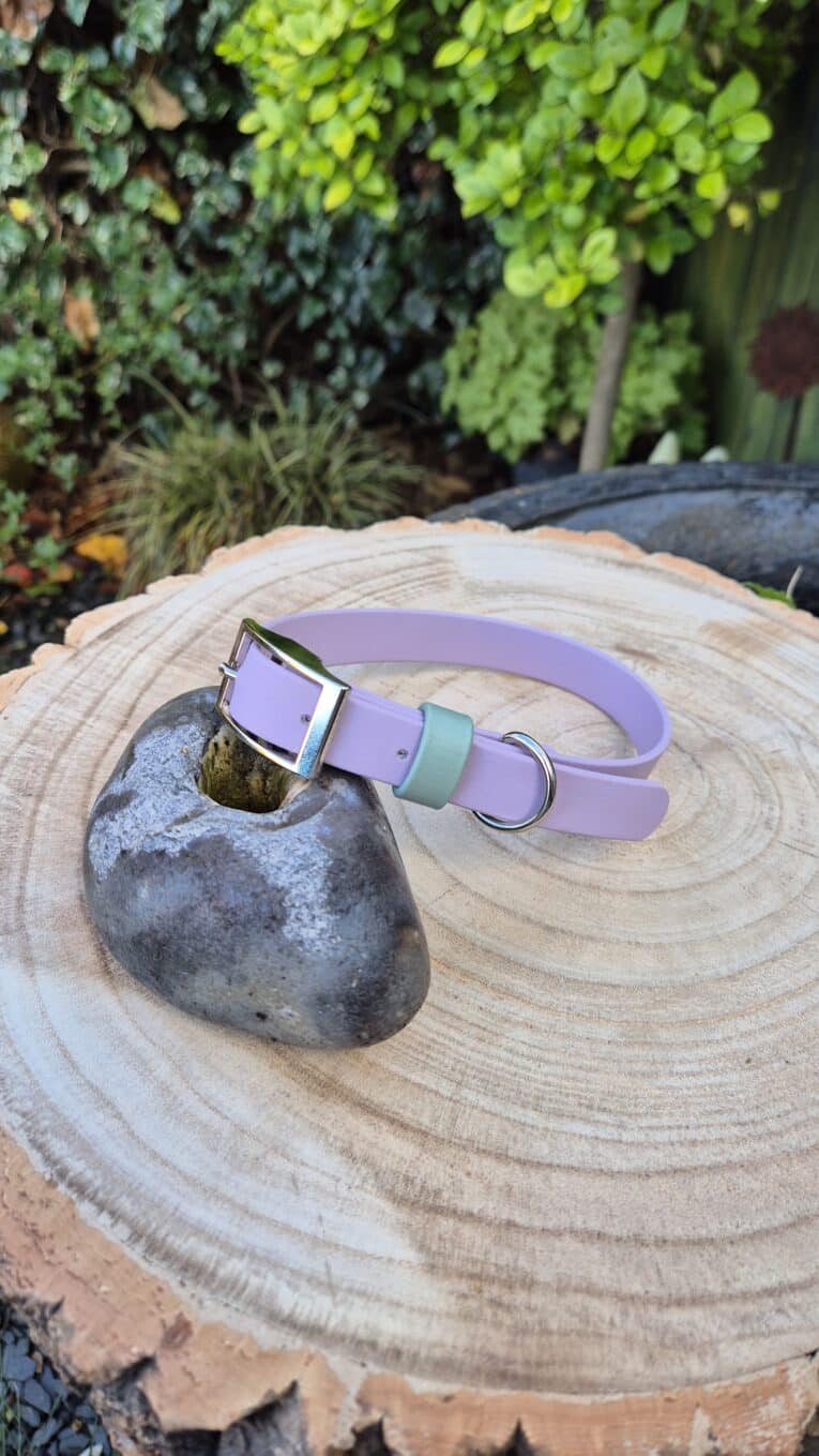A pastel purple and mint green pet collar with a silver buckle rests on a smooth grey stone, which sits on a tree stump in an outdoor garden setting with greenery in the background.