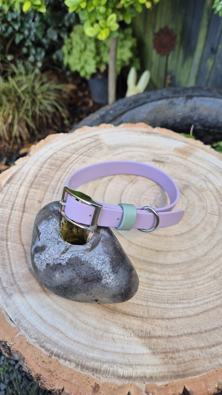 A pastel purple pet collar with a silver buckle lies draped over a smooth grey stone, both placed on a large, round tree stump with visible rings. Green plants and a garden background are visible behind.