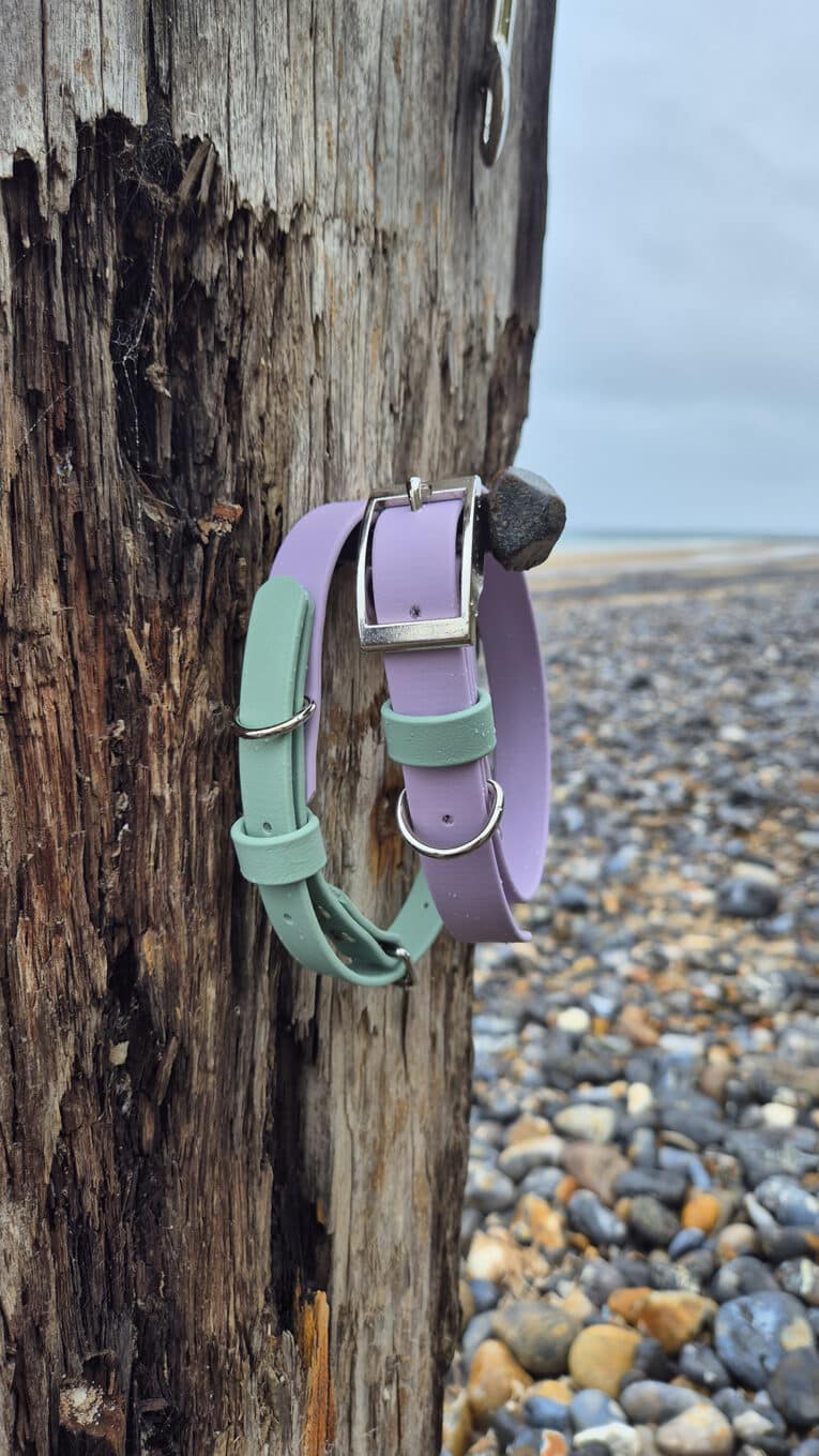 Two dog collars, one green and one lavender, hang from a weathered wooden post on a rocky beach, with the sea and cloudy sky visible in the background.
