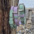 Two pastel-coloured dog collars, one green and one purple, hang on a weathered wooden post at a rocky beach. Another similar post is visible in the background, along with pebbles and an overcast sky.