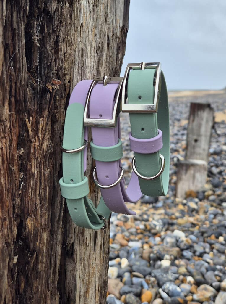 Two pastel-coloured dog collars, one green and one purple, hang on a weathered wooden post at a rocky beach. Another similar post is visible in the background, along with pebbles and an overcast sky.