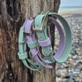 Three pastel-coloured dog collars—two green and one lavender—hang on a weathered wooden post by a rocky beach. The sea and cloudy sky are visible in the background.