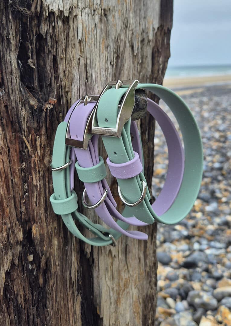 Three pastel-coloured dog collars—two green and one lavender—hang on a weathered wooden post by a rocky beach. The sea and cloudy sky are visible in the background.