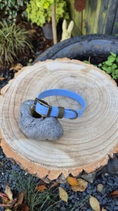 Shoreline Sage single colour collar in Arctic Blue with antique brass hardware, displayed on a wooden cross-section in a garden setting.