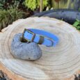 A light blue dog collar with a black buckle and olive green loop rests on a smooth grey stone, placed on a cut tree stump outdoors, surrounded by green plants and a dark wooden fence.