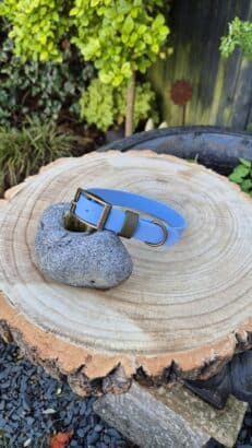 Shoreline Sage Collar