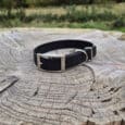 A black leather collar with a silver buckle and D-ring rests on a large tree stump in an outdoor natural setting with grass, trees, and a cloudy sky in the background.