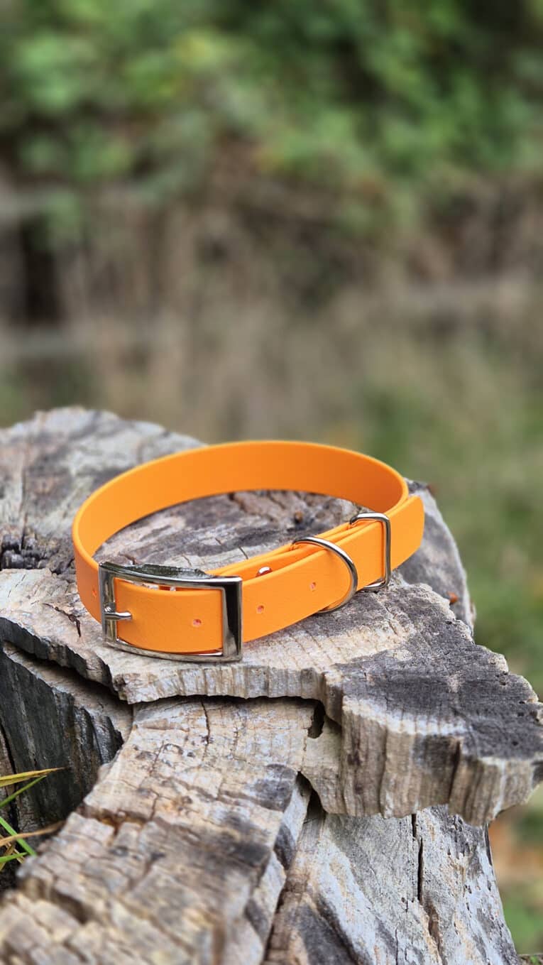 An orange belt with a silver buckle is placed on a weathered tree stump, with a blurred green and brown natural background.