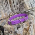 A purple dog collar with a metal buckle and ring is placed on a rough, textured tree stump.