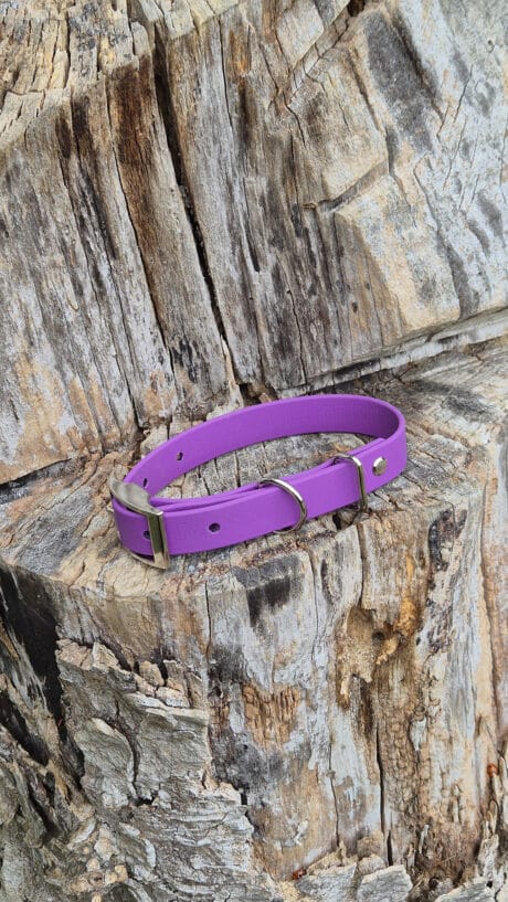 Purple Mist Single Colour Collar