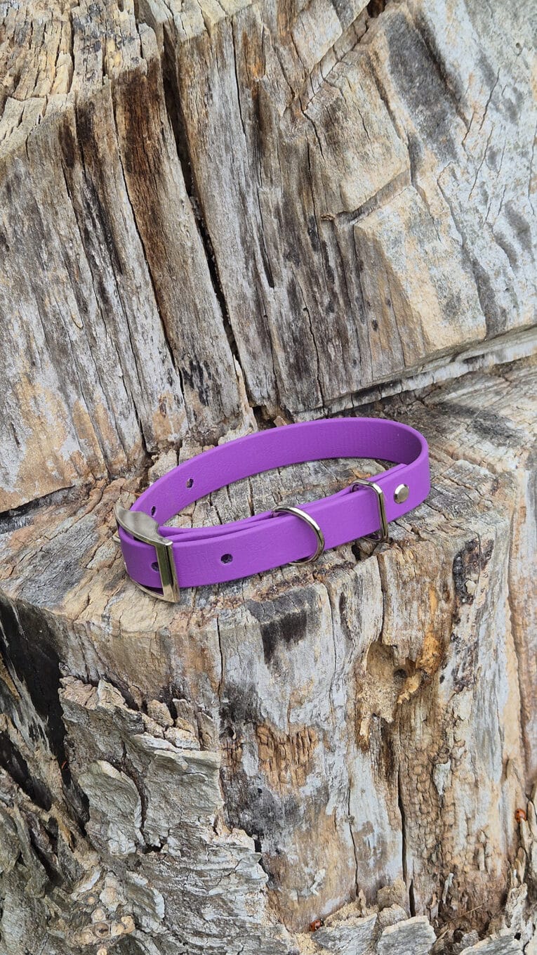 A purple dog collar with a metal buckle and ring is placed on a rough, textured tree stump.