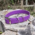 A purple dog collar with a silver buckle and D-ring rests on a weathered tree stump outdoors, with green foliage and a wooden fence in the blurred background.