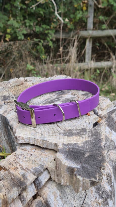 A purple dog collar with a silver buckle and D-ring rests on a weathered tree stump outdoors, with green foliage and a wooden fence in the blurred background.