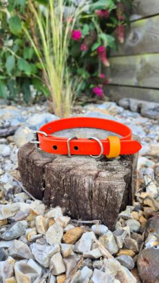 Tangerine Dream Collar