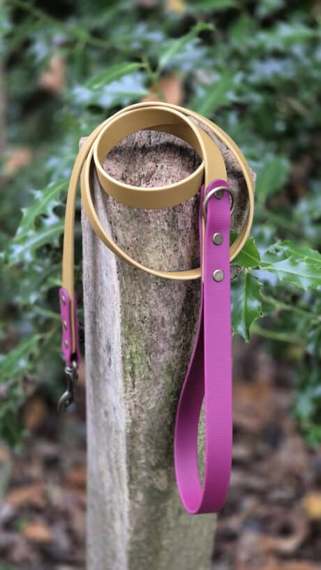 Winterberry Gold 1.2m Two Colour Lead