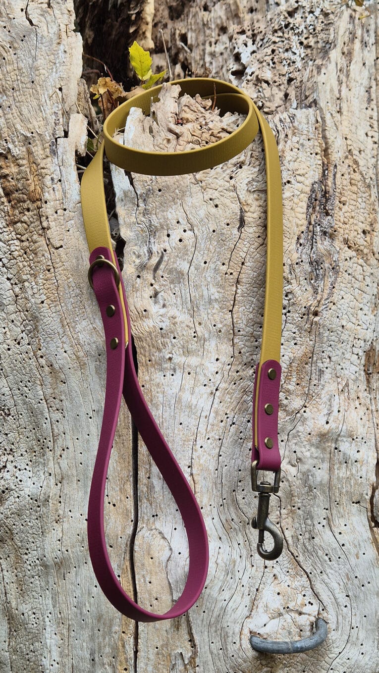 A yellow and maroon dog lead with metal fittings is laid out on a textured, weathered wooden surface.