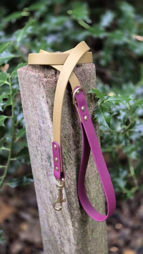 A two-tone dog lead with tan and purple sections and gold fittings is looped around a weathered wooden post, with green foliage in the background.