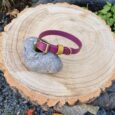 A purple dog collar with brass fittings is displayed on a smooth stone atop a tree stump. The stump sits in an outdoor garden with plants, gravel, and fallen leaves around it.