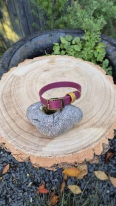 Winterberry Gold collar in Merlot and antique brass, displayed on a wood slice in a garden setting.