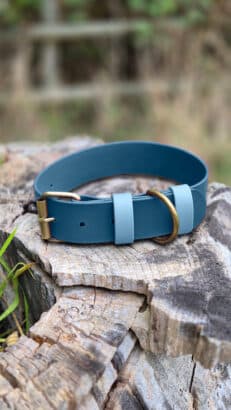 Custom Extra Wide Single Colour Collar